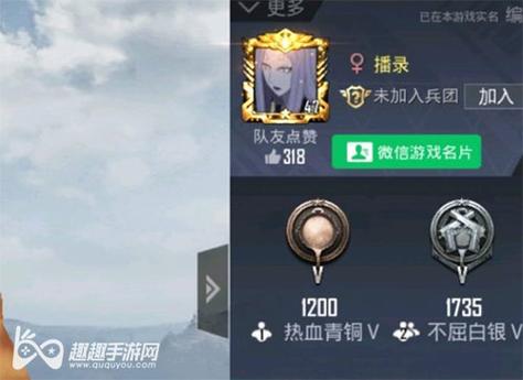 和平精英《敖光》辅助
